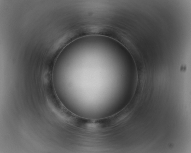 X0000114180216200910081506