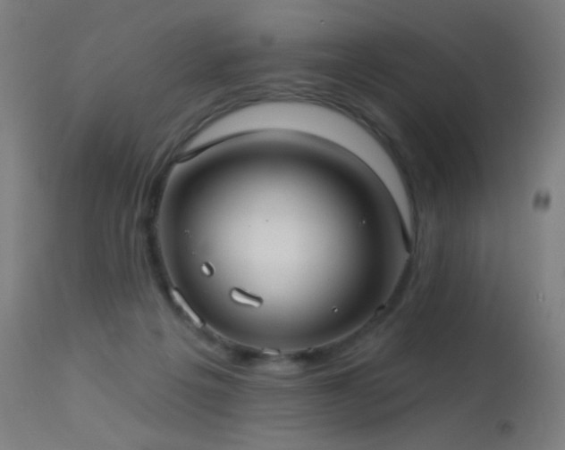 X0000114180217200910081506