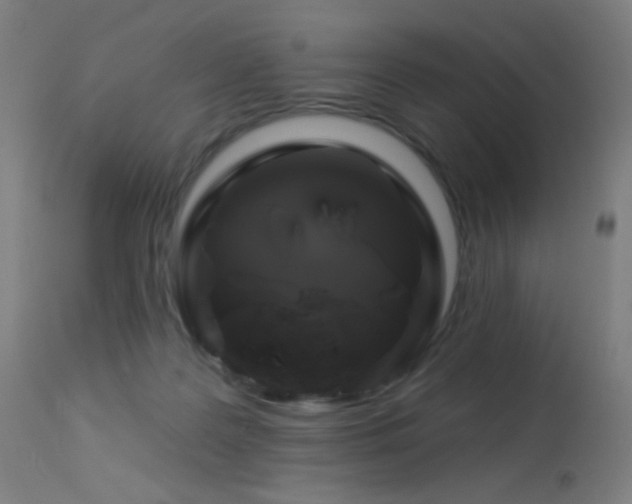 X0000114180219200910081506