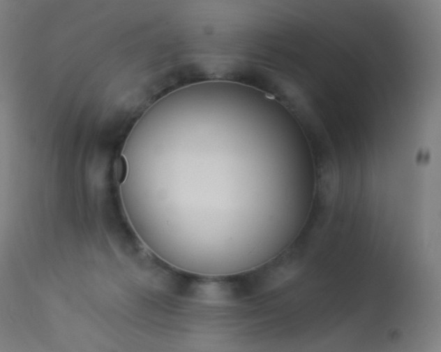 X0000114180221200910081506