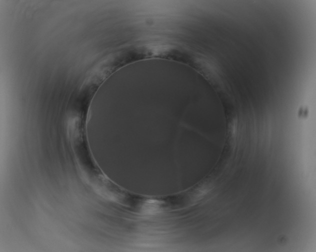 X0000114180222200910081506