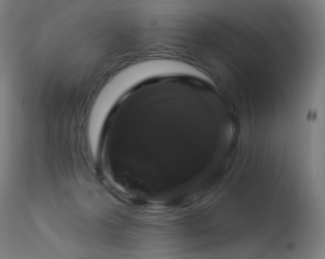 X0000114180223200910081506