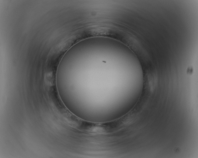 X0000114180224200910081506