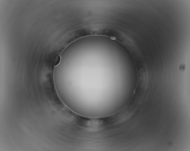 X0000114180225200910081506