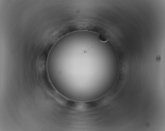 X0000114180226200910081506