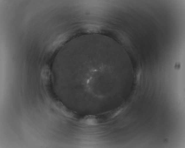 X0000114180228200910081506