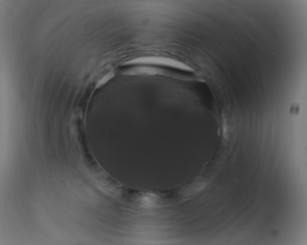 X0000114180229200910081506