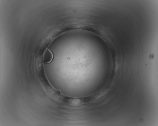 X0000114180230200910081506