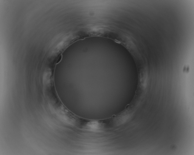 X0000114180231200910081506
