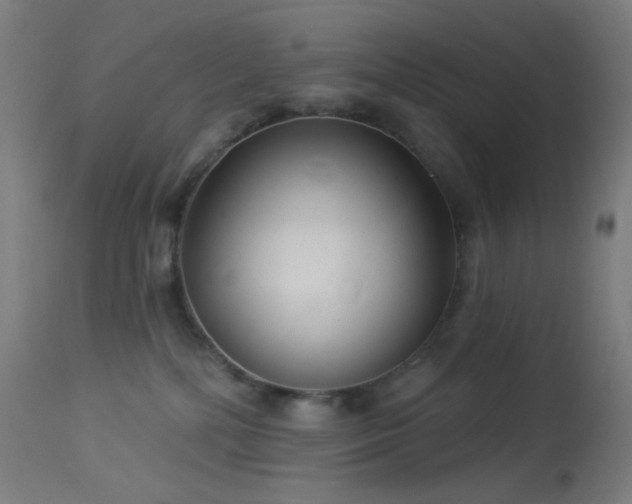 X0000114180232200910081506