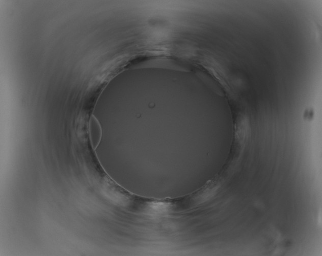 X0000114180233200910081506