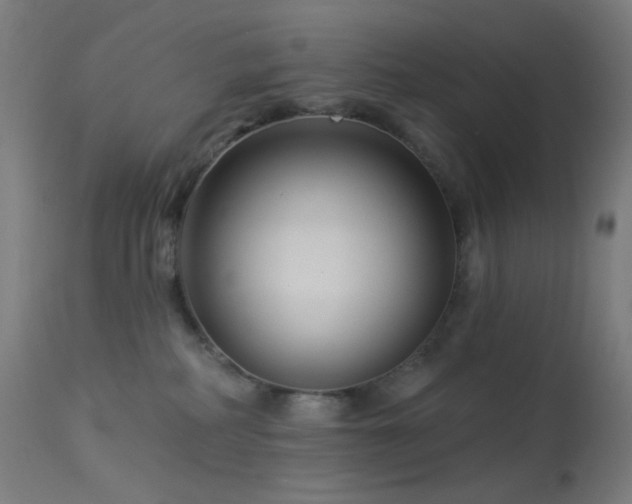 X0000114180234200910081506
