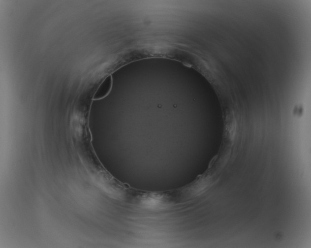 X0000114180235200910081506