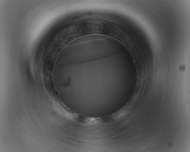 X0000114180239200910081506