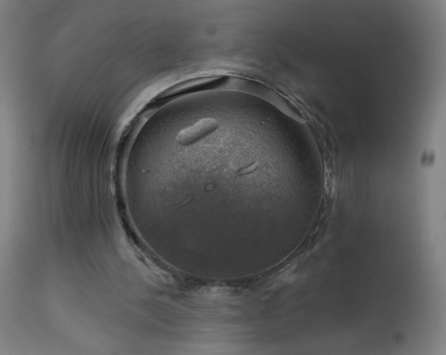 X0000114180244200910081505