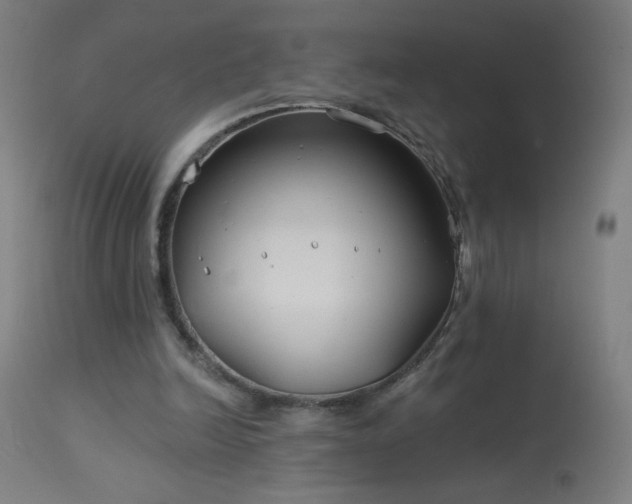 X0000114180246200910081505