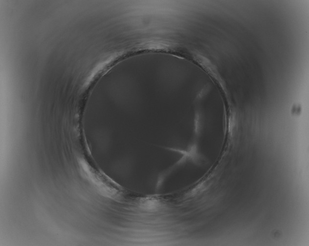 X0000114180249200910081506
