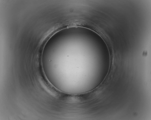 X0000114180250200910081506