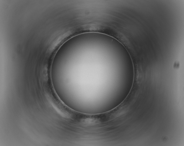 X0000114180251200910081506