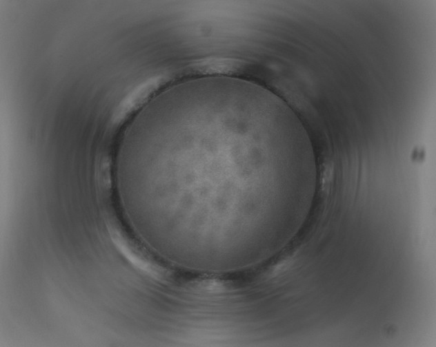 X0000114180254200910081506
