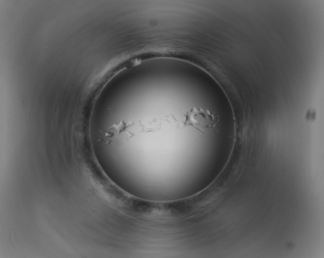X0000114180256200910081506