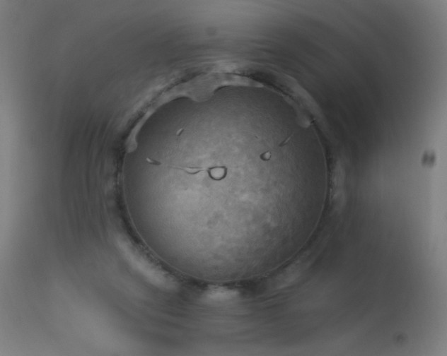 X0000114180257200910081506