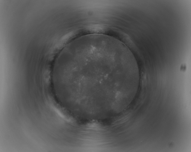 X0000114180259200910081506