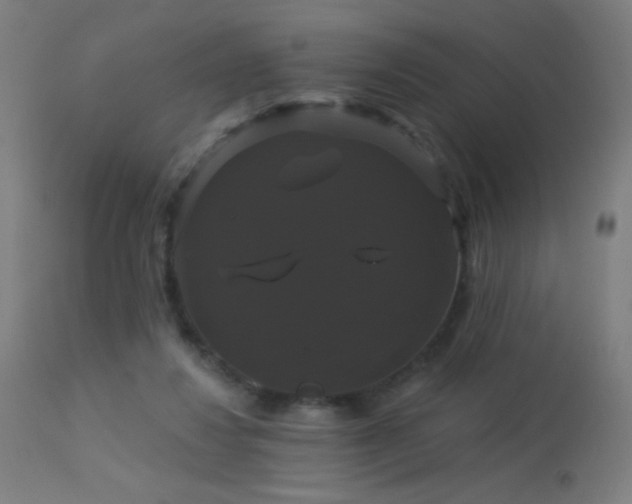 X0000114180260200910081506
