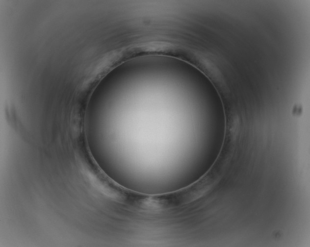 X0000114180261200910081506