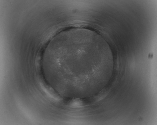 X0000114180263200910081506
