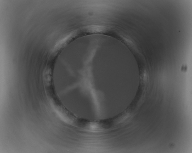 X0000114180264200910081506