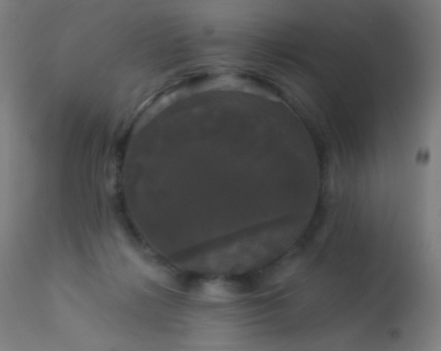 X0000114180268200910081506
