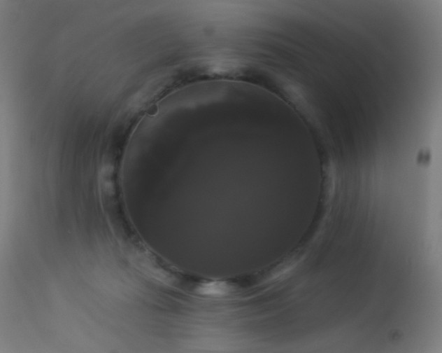 X0000114180269200910081506