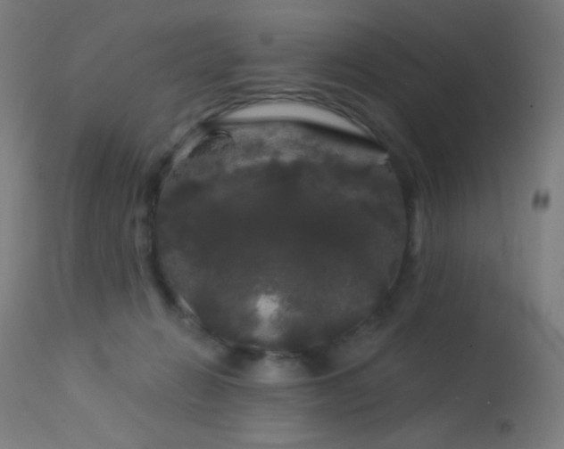 X0000114180270200910081506