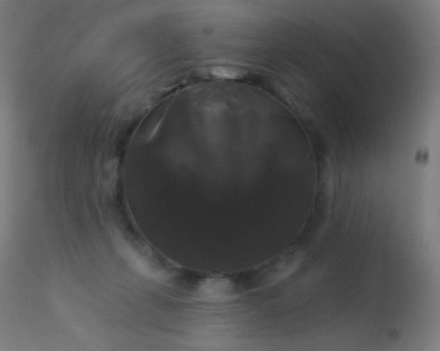 X0000114180271200910081506