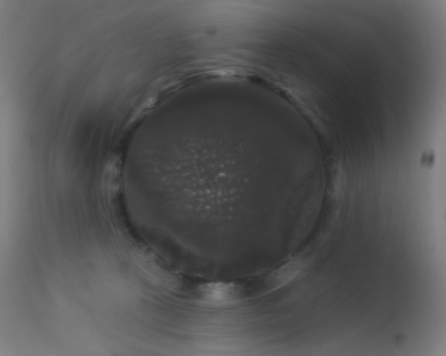 X0000114180273200910081506