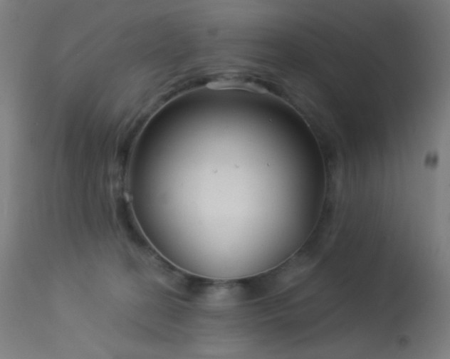 X0000114180274200910081506