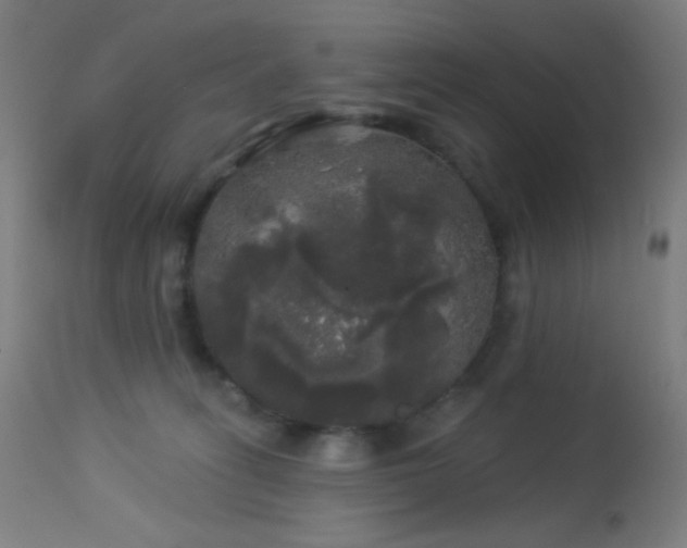 X0000114180275200910081506