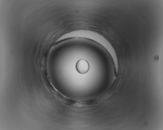 X0000114180280200910081506