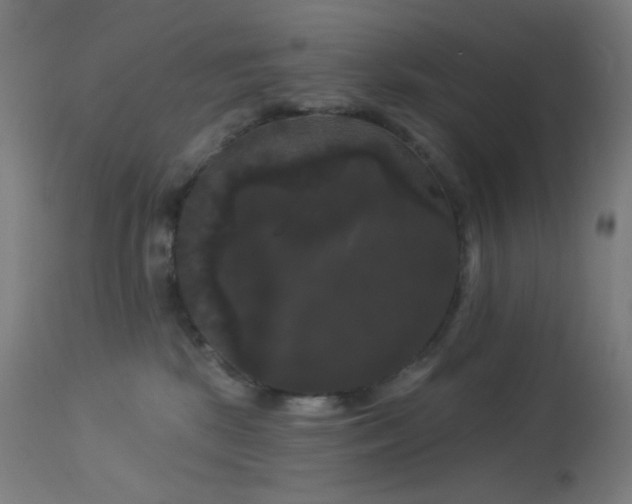 X0000114180281200910081506