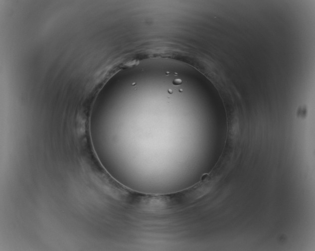 X0000114180282200910081506