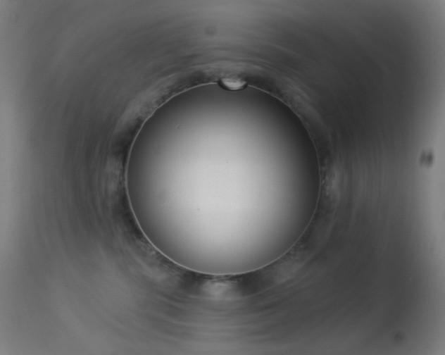 X0000114180283200910081506