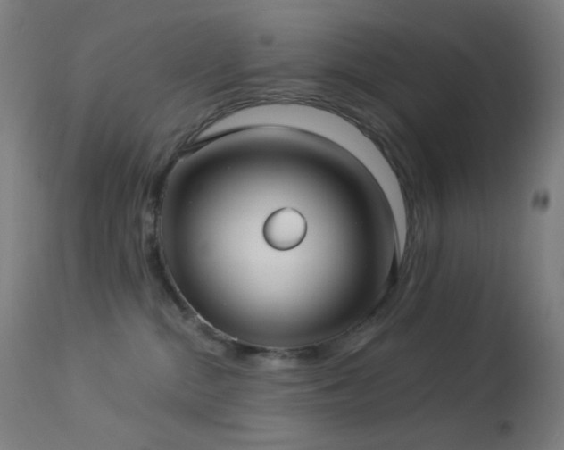 X0000114180284200910081506