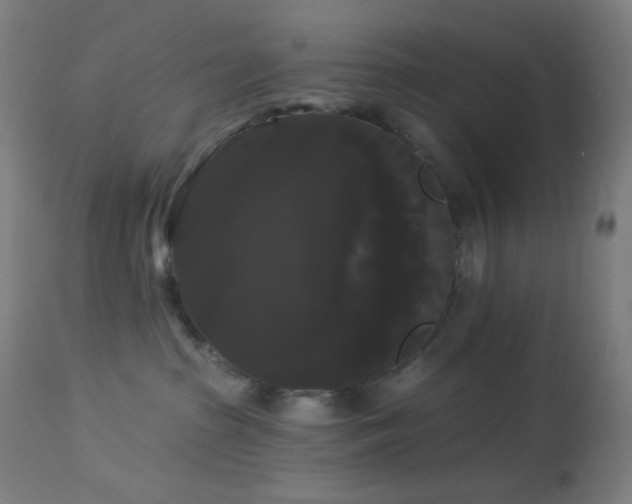 X0000114180285200910081506