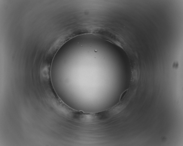 X0000114180286200910081506