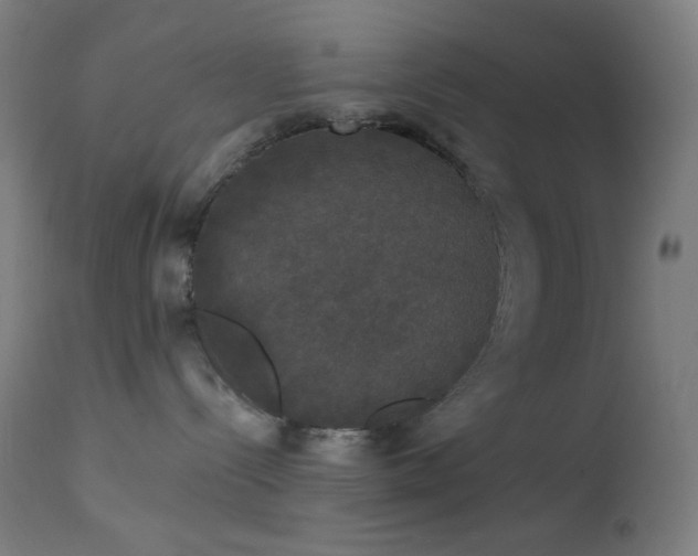 X0000114180288200910081506