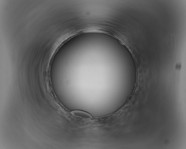 X0000114180289200910081505