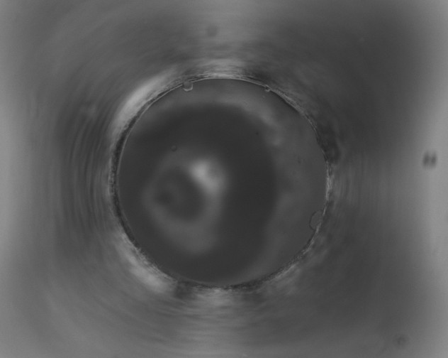 X0000114180293200910081505