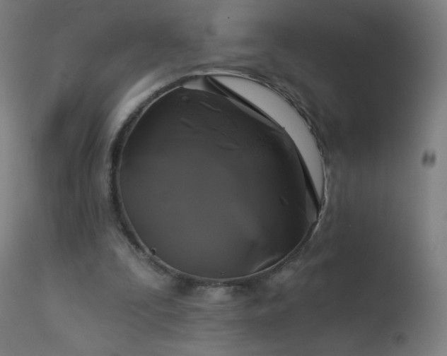 X0000114180295200910081505