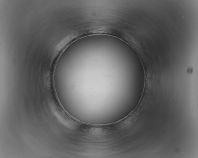 X0000114180298200910081505